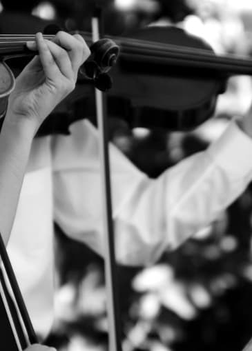 בין תושיא לניגון