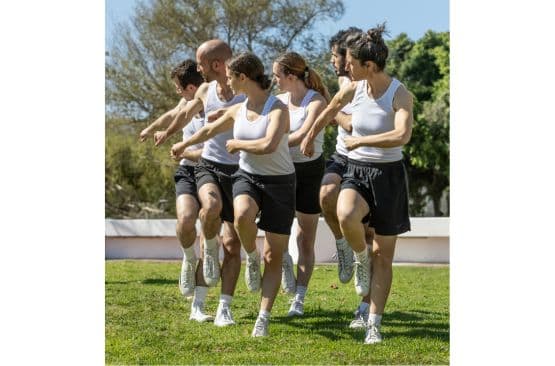 תנועה ציבורית 24/1