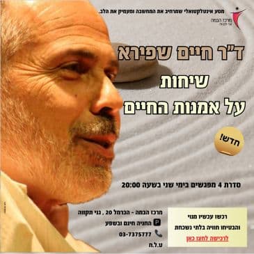 חיים שפירא | אמנות הפליאה