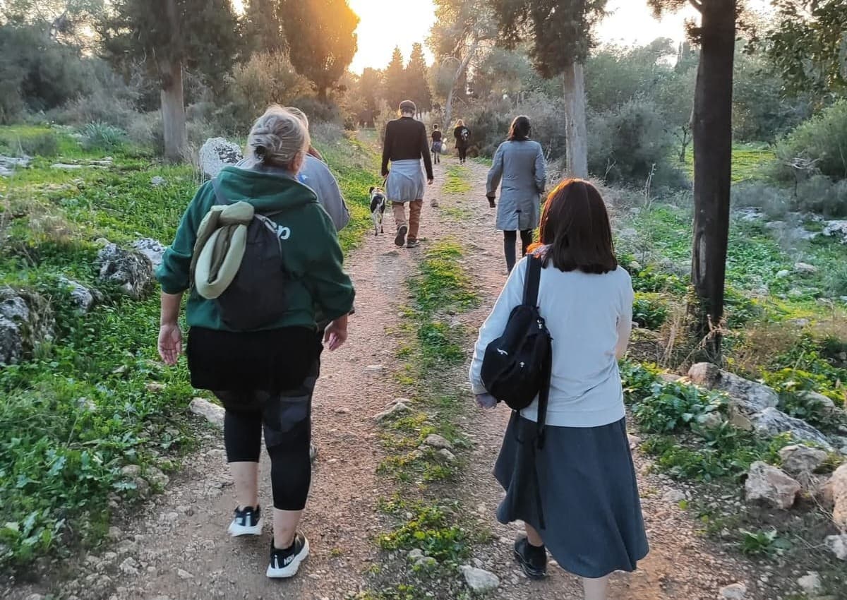 הולכים ביער