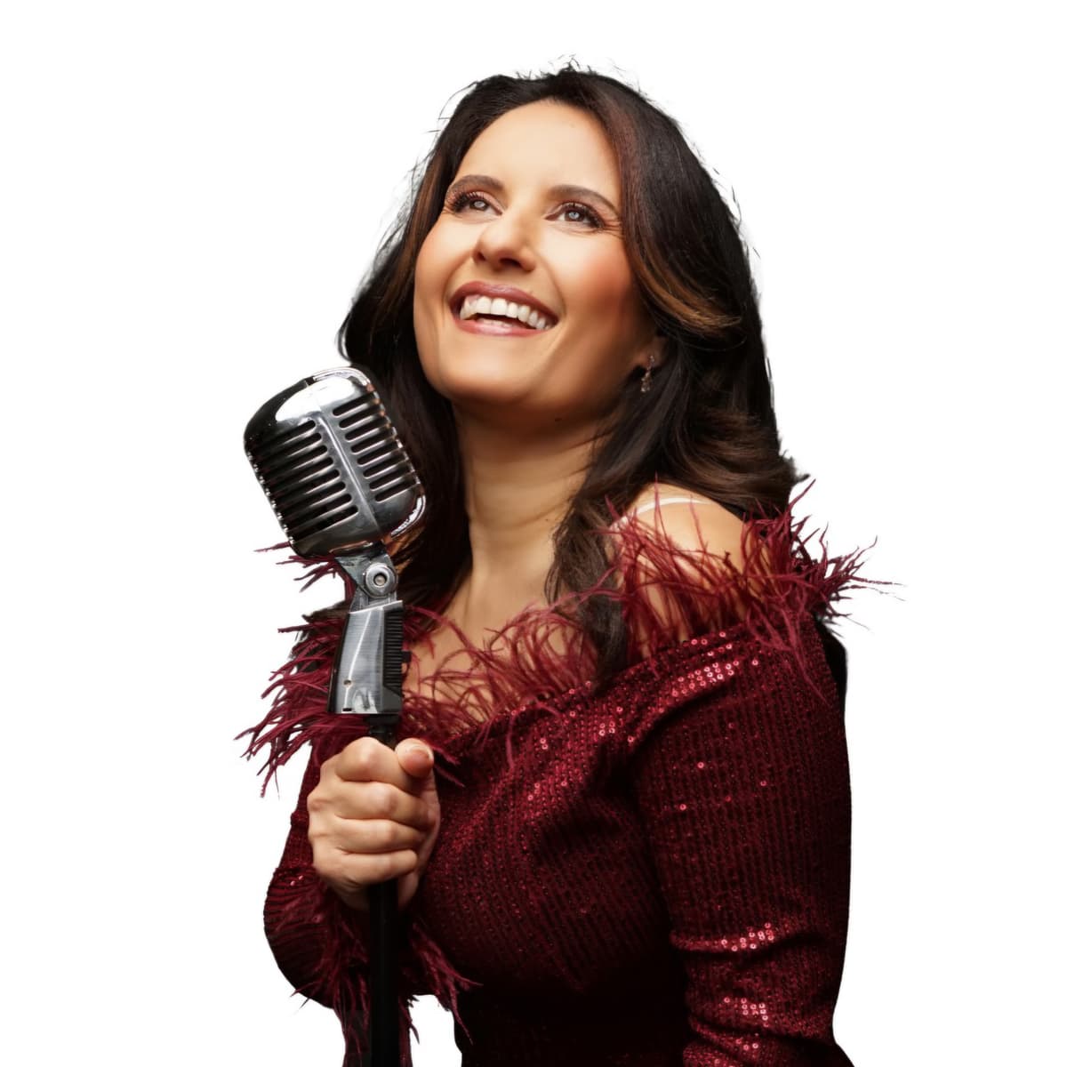 סודות השנסונים - אורלי סלומון