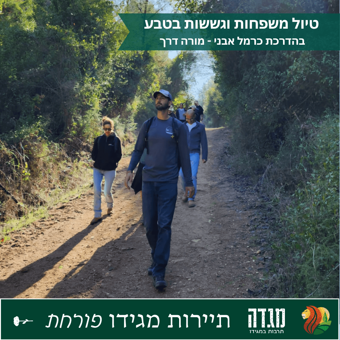 טיול משפחות וגששות בטבע עם מורה הדרך כרמל אבני