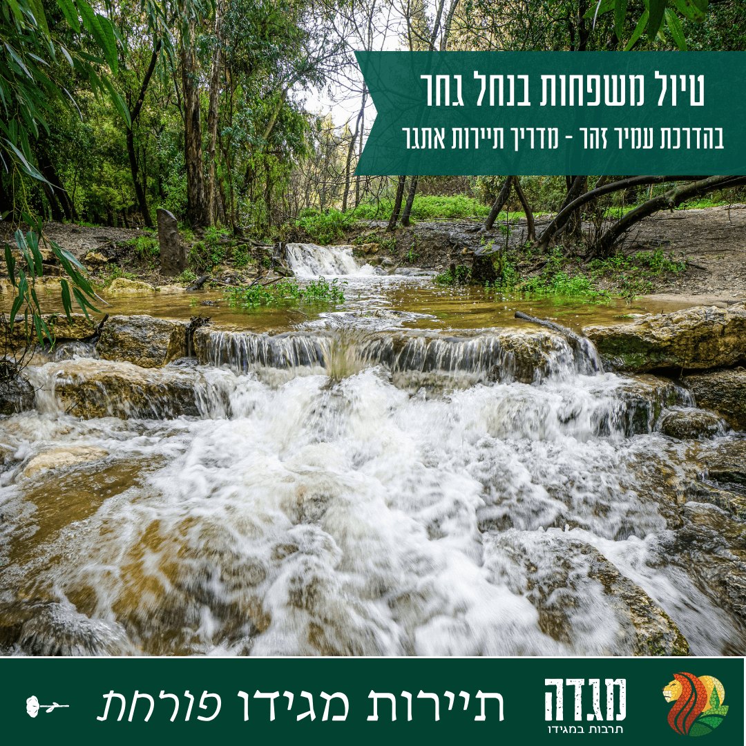 טיול משפחות בנחל גחר עם עמיר זהר- מדריך תיירות אתגר וסדנאות שטח