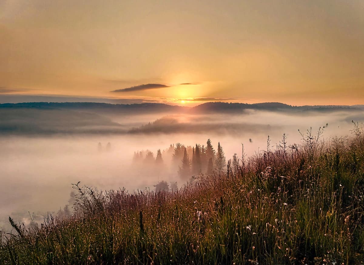 סדנת צילום בטלפון בחווה האורגנית בעמק השלום - בהדרכת איל בן חיים