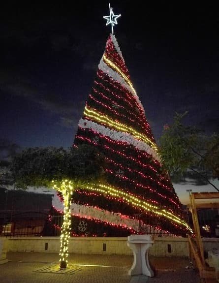 טיול קל הליכה: פסוטה ומעיליא מקושטות חג