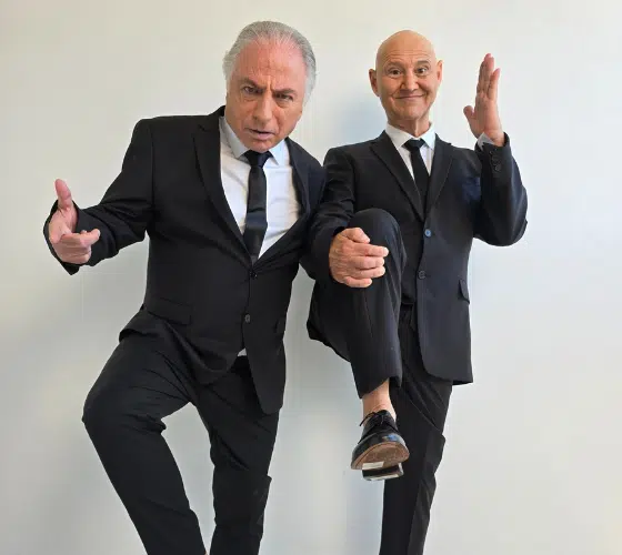 ניצני ודני – סדרת הומור