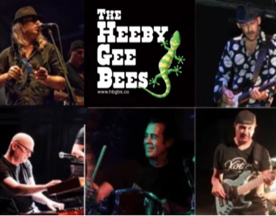 חגיגה של בלוז ורוקנ’רול בהופעה בלתי נשכחת!חגיגה של בלוז ורוקנ’רול בהופעה בלתי נשכחת!