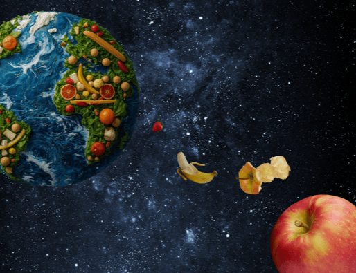 שומרים על האוכל 🥗🫙