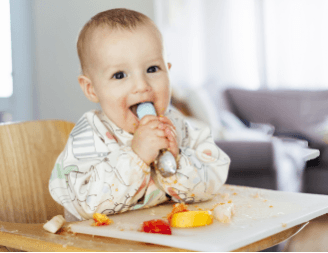 סדנת חשיפה למוצקים בגישת בייבי לד
