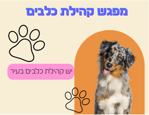 מפגש אילוף כלבים קטנים