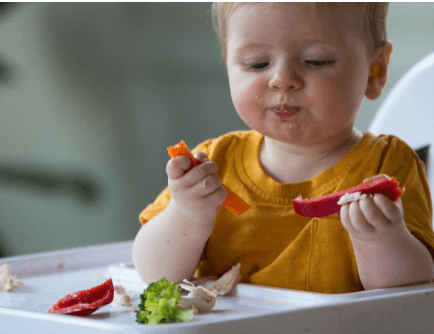 אוכל זה כן משחק - דניאל טננבאום בריטן