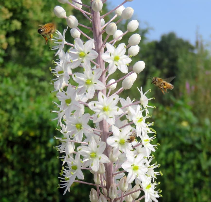 בין סתיו לחורף בגני הטבע