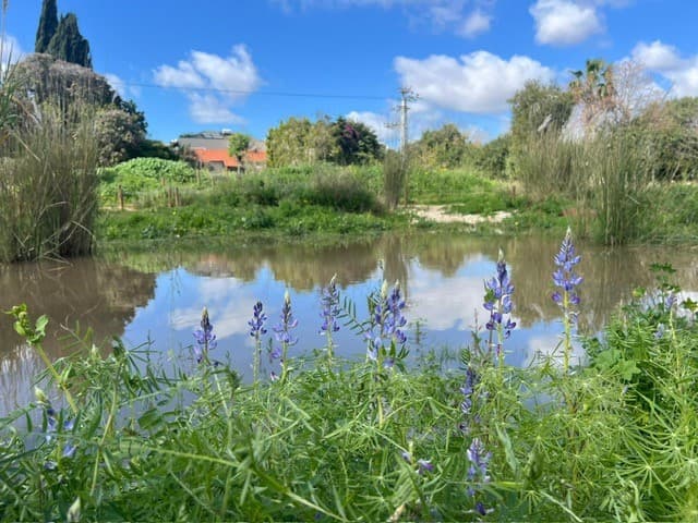 סיור - הטבע מתעורר