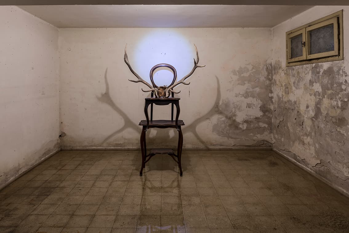 שיח גלריה בתערוכה על גדם הלב נחה ציפור עם האמנית פסי גירש  בתערוכה "לעלות הכי נמוך" אוצרת התערוכה רחל ששפורטה