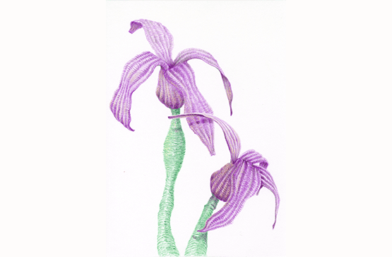 סיור מודרך לכל המשפחה באשכול התערוכות "שלהן"