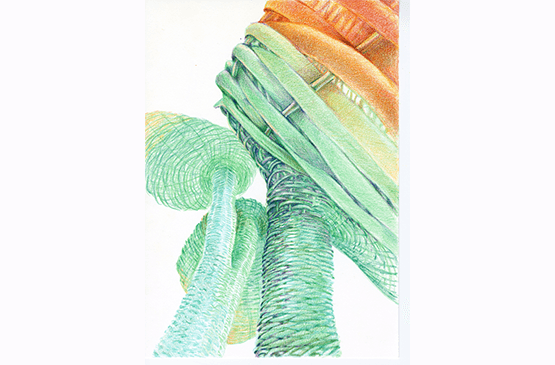 נפגשות במוזיאון: סדנת רישום וסיור בתערוכה "עבודת שדה" בהנחיית האמנית מיטל כץ מינרבו