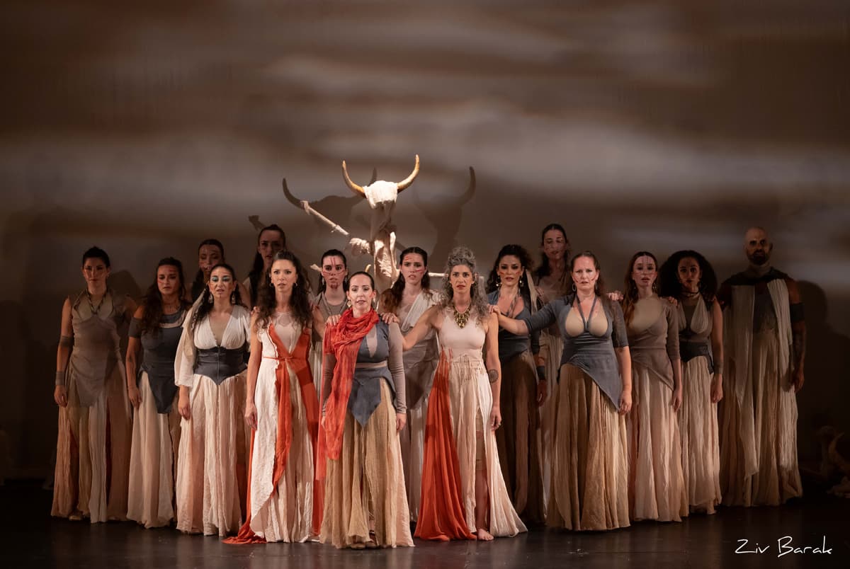 להקת הפלמנקו הישראלית  | בעלות