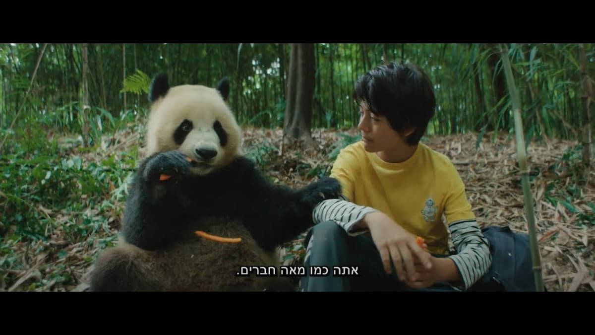 יאן ודב הפנדה (מדובב)