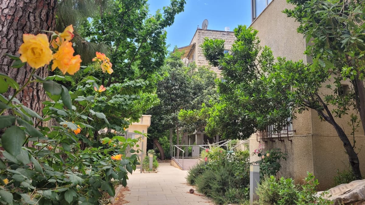 חנוכה 2025 בבית לוי אשכול