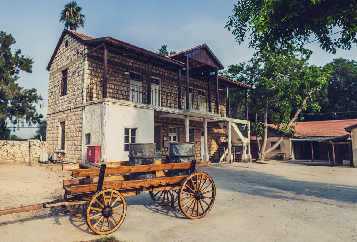 חנוכה תשפ"ו בחצר ראשונים קיבוץ עין שמר