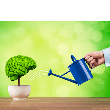 הזיכרון - איך הוא עובד ומדוע הוא אובד?- ידידיה גפני