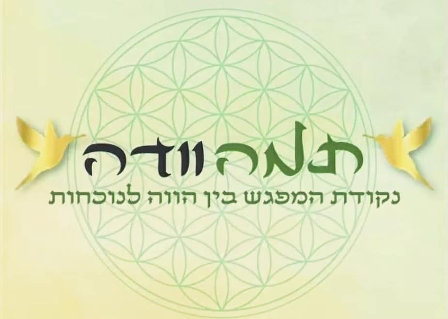 קורס התמקדות בסיס בתמהוודה