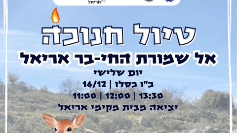 טיול חנוכה אל שמורת החי-בר אריאל