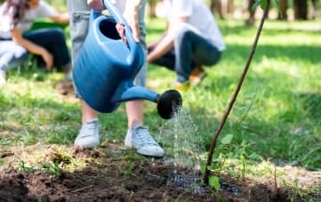 גינון קהילתי
