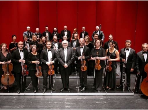 פסטיבליםגלגולו של ניגון