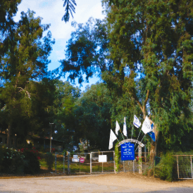 טיול מורשת - מכון איילון, רחובות ופרדס מינקוב