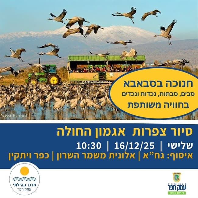 סיור באגמון החולה - סבים נכדים | חנוכה בסבאבא