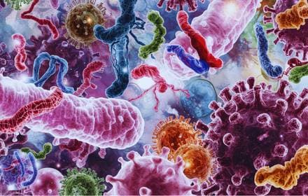 מסעות מרתקים אל הקשר שבין מוח, מתח, מזון ומעי