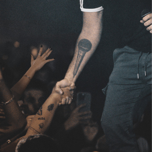 רביד פלוטניק