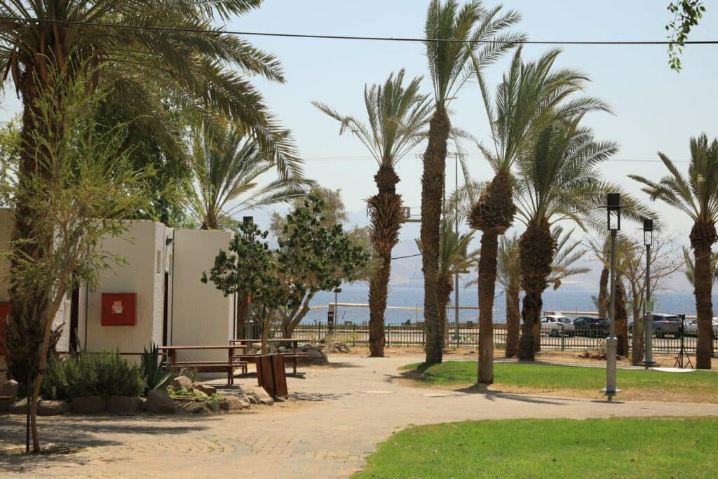 סיור עטלפים – לגלות את חיי הלילה הסודיים של הטבע 🌙🦇