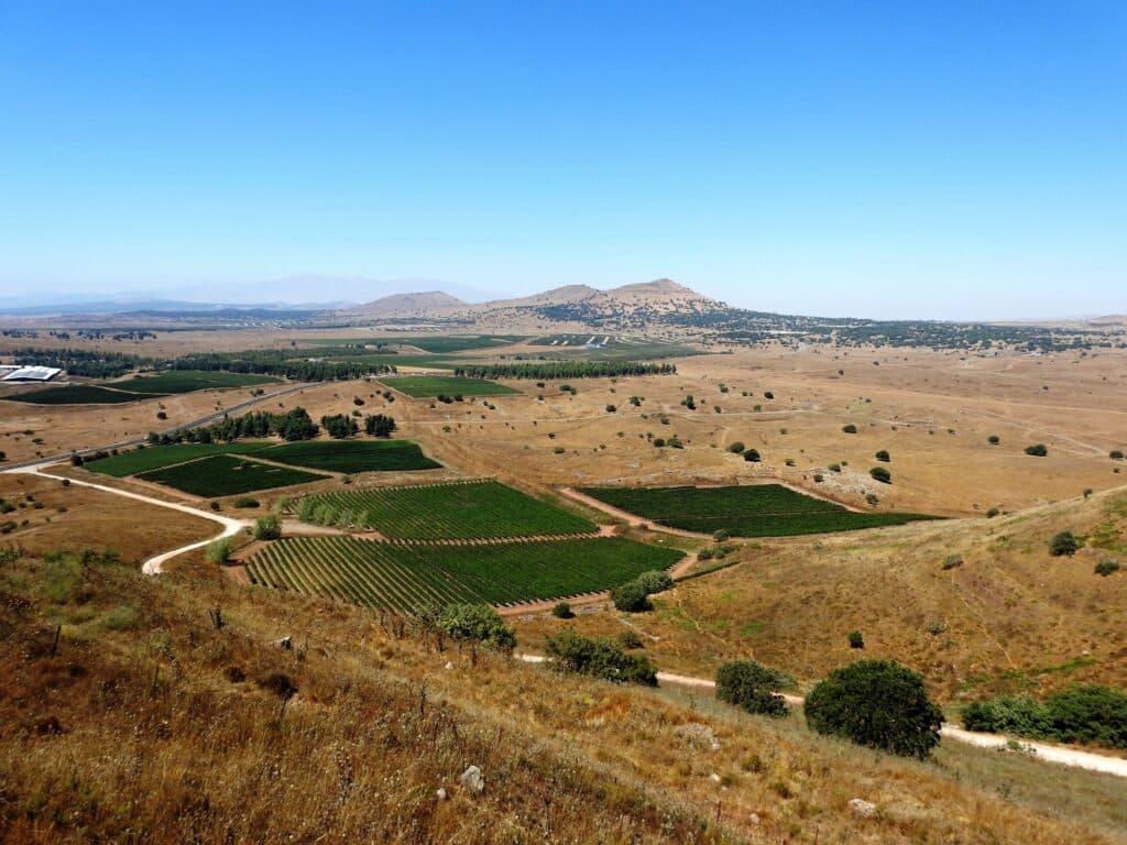 האיש שלנו בדמשק: טיול בעקבות אלי כהן בגולן