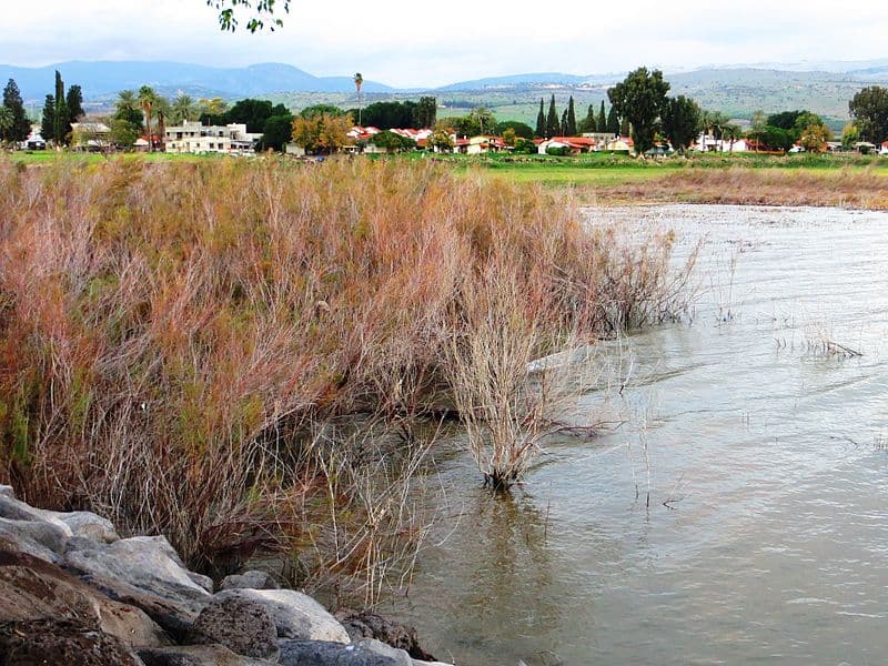 שביל סובב כינרת – מסע מסביב לאגם: מערב הכינרת
