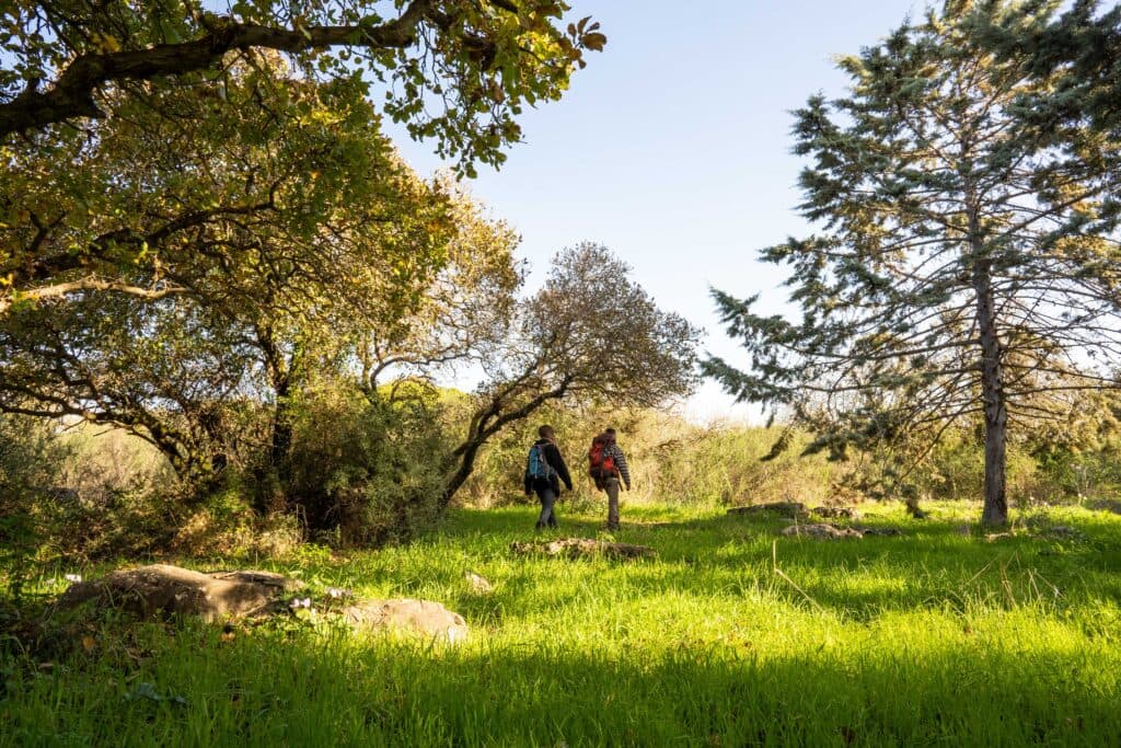 טיול בעקבות מבשרי הסתיו בגבעות בית קשת