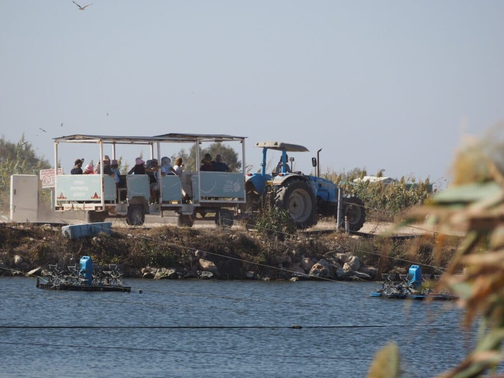 טיול משפחתי בפארק הצפרות: הרפתקה בעגלת טרקטור