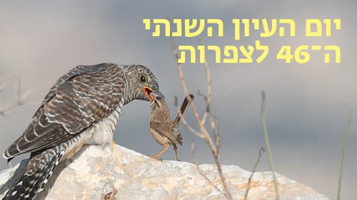 יום העיון השנתי ה-46 לצפרות