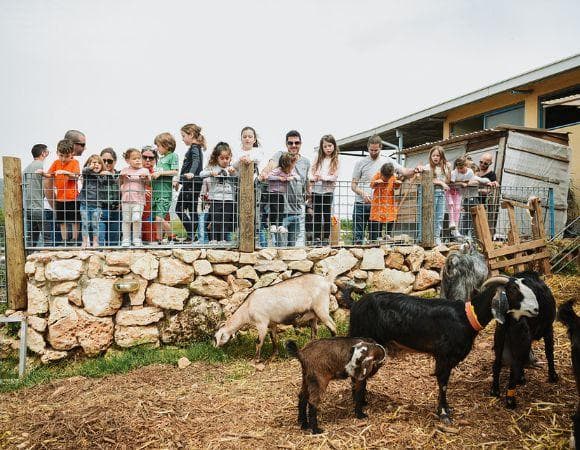 פסטיבל חורף – סיור וסדנת מיחזור בחוות רום לכל המשפחה