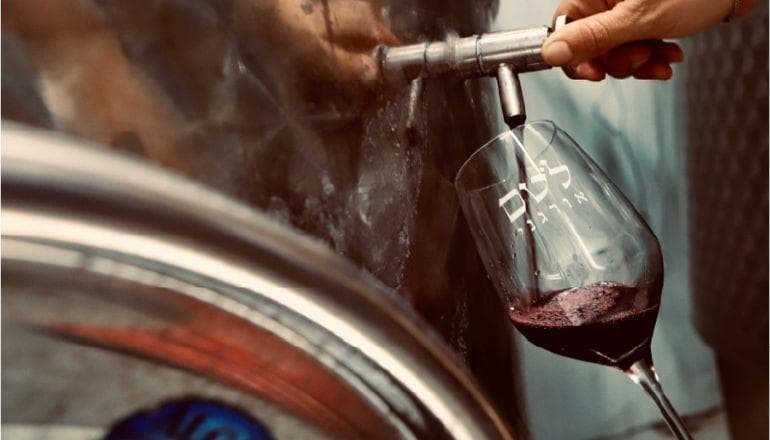 פסטיבל חורף – נוף, אדמה ויין – ארוחה חורפית מפנקת לאור הכוכבים