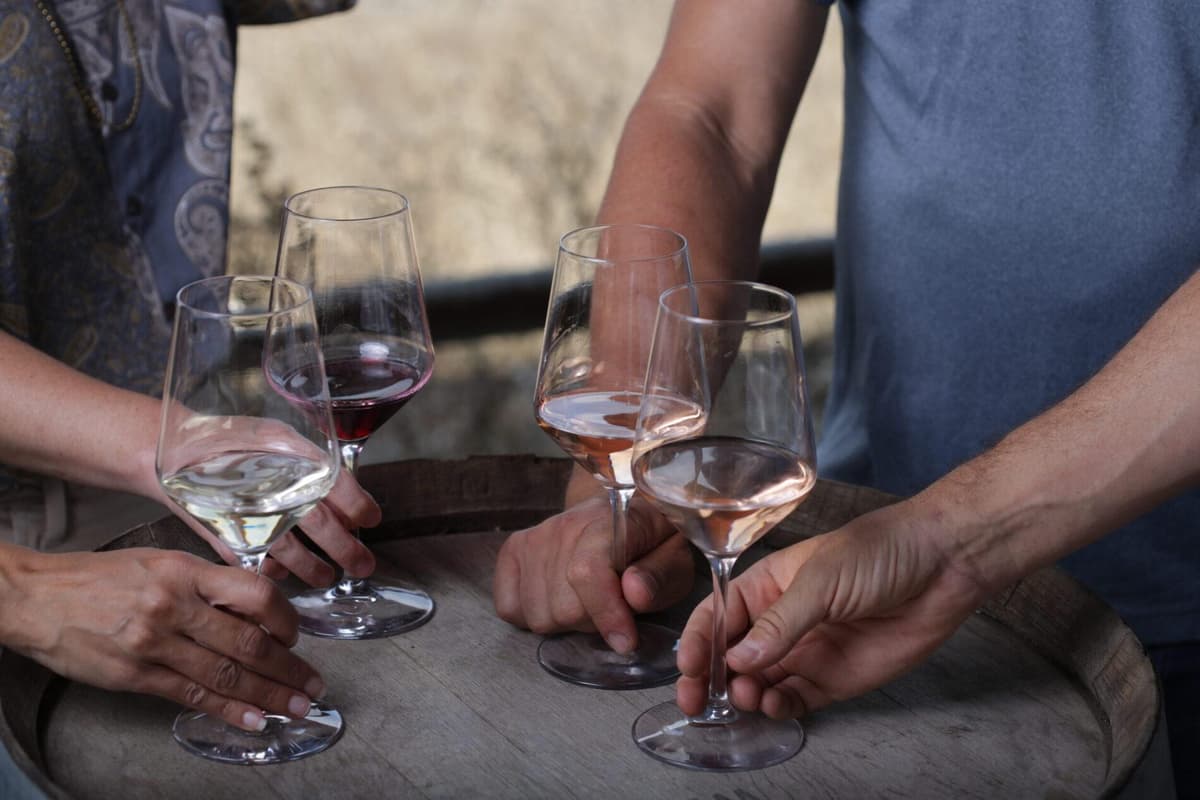 פסטיבל חורף –  חוביזה הולך עם אדום או לבן? – ליקוט, בישול ויין משובח