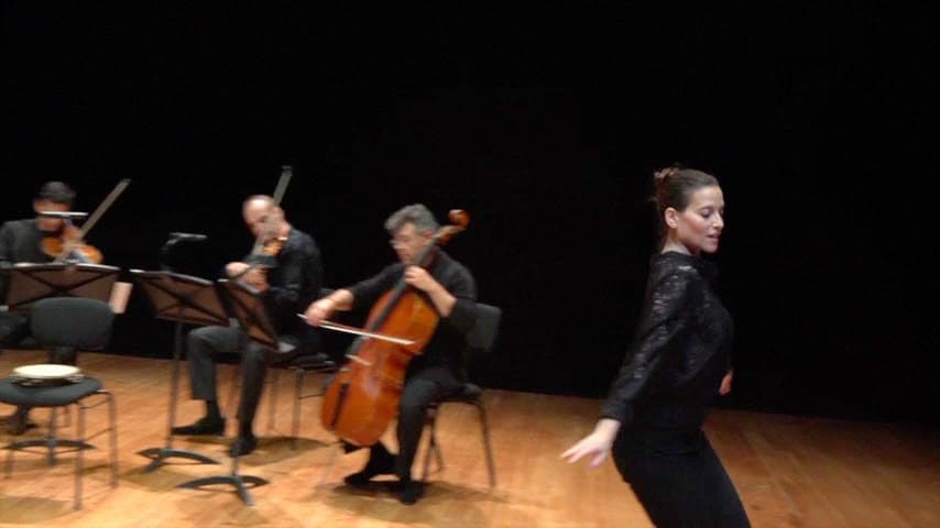 מחול בגובה העיניים - 'ששה עשר מיתרים וגוף אחד' מאת רננה רז