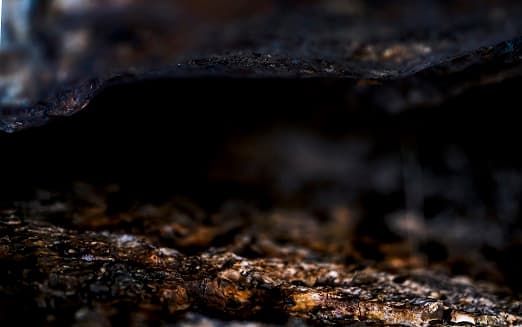 פינוקיו | תיאטרון השעה הישראלי