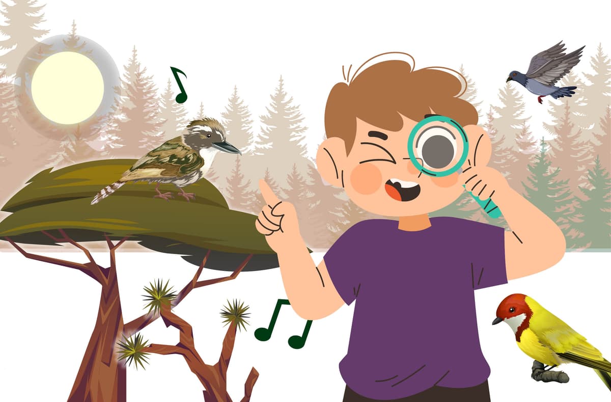 מפגשי צפרות לחובבי הציפורים