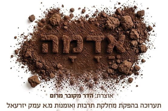 תערוכת אדמה - שיח גלריה