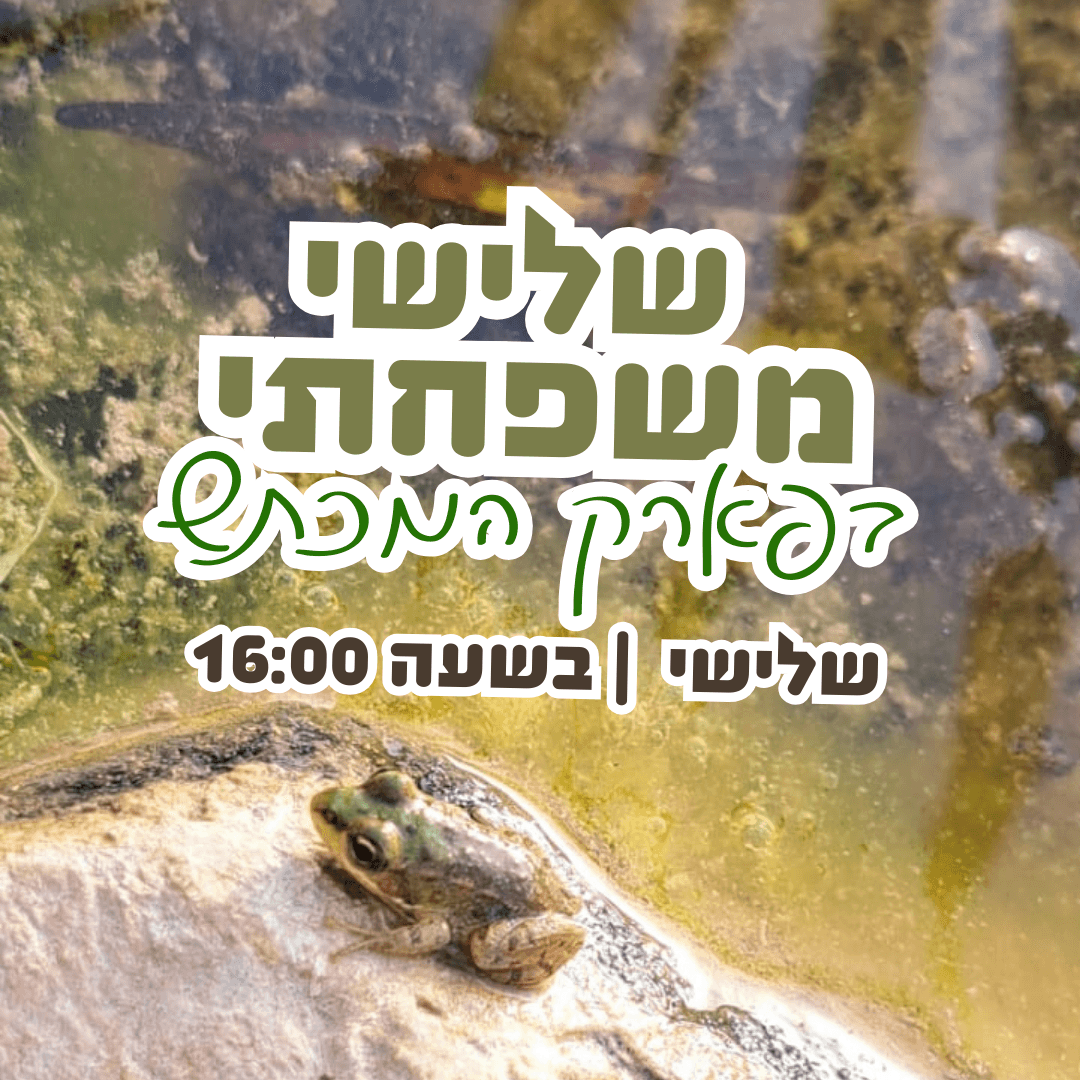 שלישי משפחתי במכתש