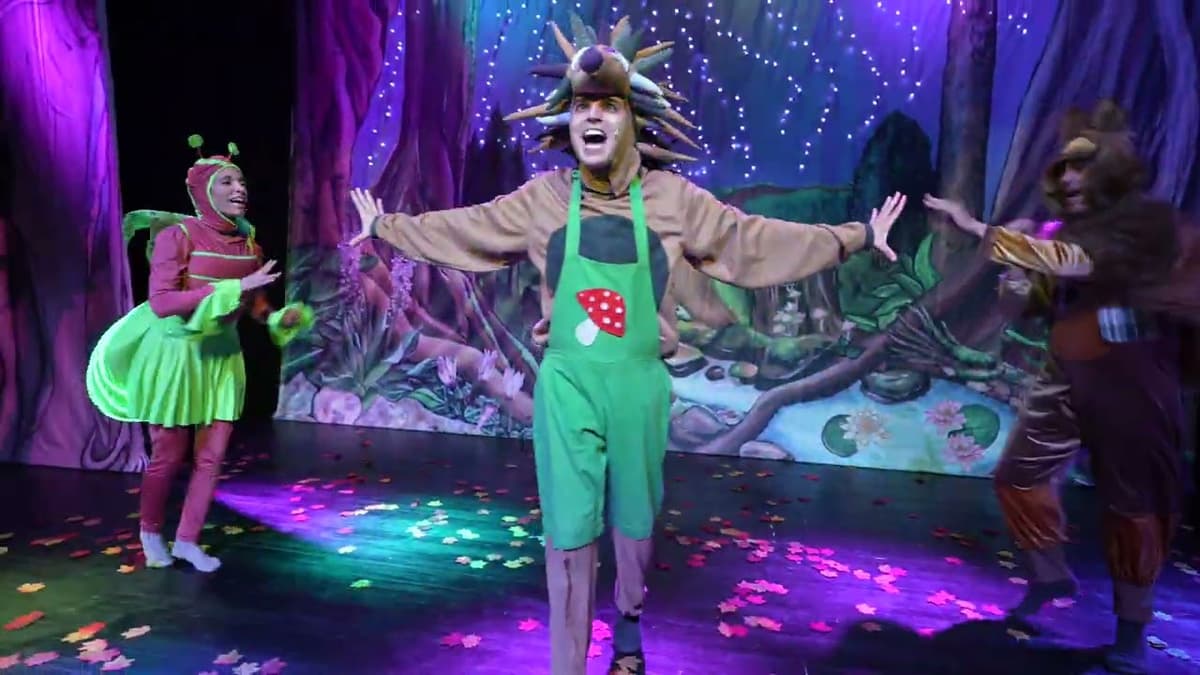 האור של קיפודי