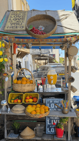 טיול לדאלית אל כרמל