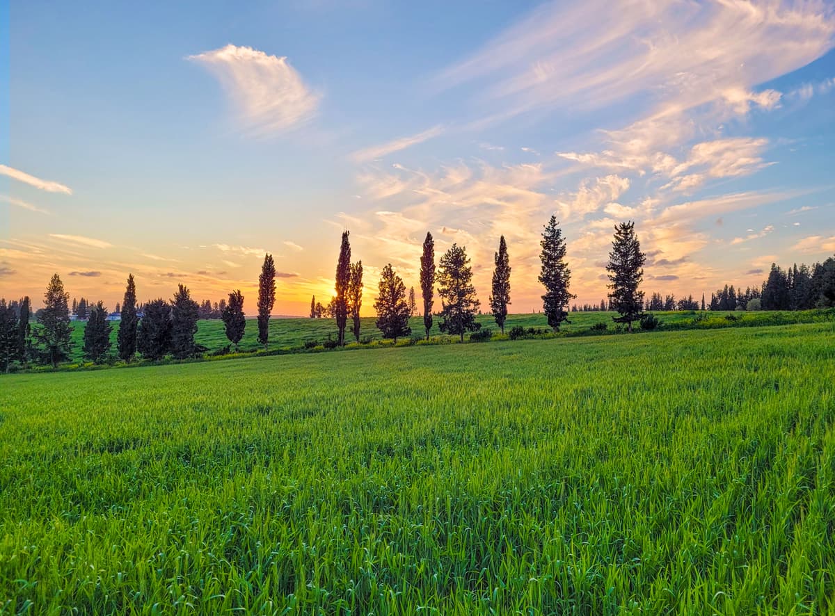 טיול משפחות עם עמיר זהר- מדריך תיירות אתגר וסדנאות שטח